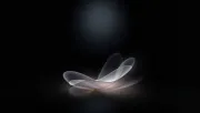 backgrounds
