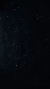 backgrounds