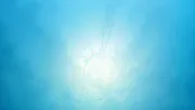 backgrounds