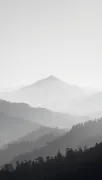 backgrounds