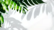 backgrounds