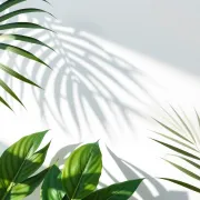 backgrounds