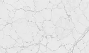 backgrounds