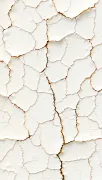 backgrounds