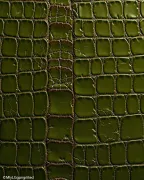 backgrounds