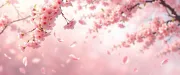 backgrounds