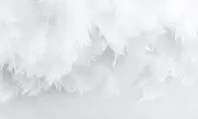 backgrounds