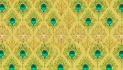 backgrounds