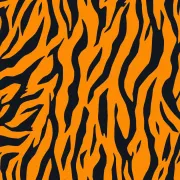 backgrounds