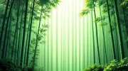 backgrounds
