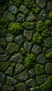 backgrounds