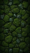 backgrounds