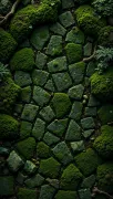 backgrounds