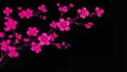 backgrounds