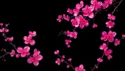 backgrounds