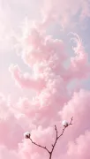 backgrounds