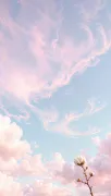 backgrounds