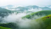 backgrounds