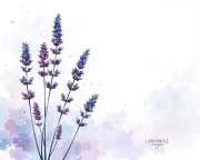 backgrounds
