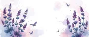 backgrounds