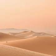 backgrounds