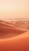 backgrounds