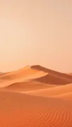 backgrounds