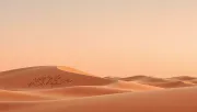 backgrounds