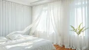 backgrounds