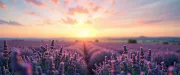 backgrounds
