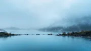 backgrounds