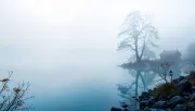 backgrounds