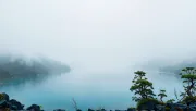 backgrounds