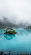backgrounds