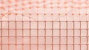 backgrounds