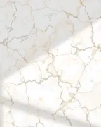 backgrounds