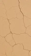backgrounds