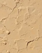 backgrounds