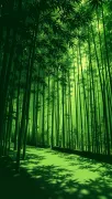 backgrounds
