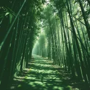 backgrounds