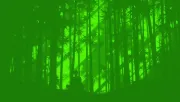 backgrounds