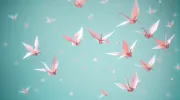 backgrounds