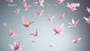 backgrounds