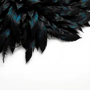 backgrounds