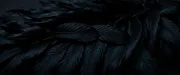 backgrounds