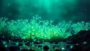 backgrounds