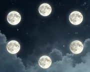 backgrounds