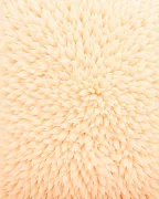 backgrounds