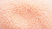 backgrounds