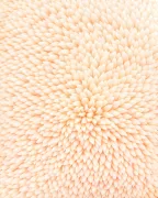 backgrounds